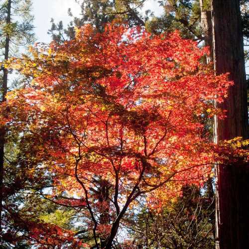 Nikko, Japan