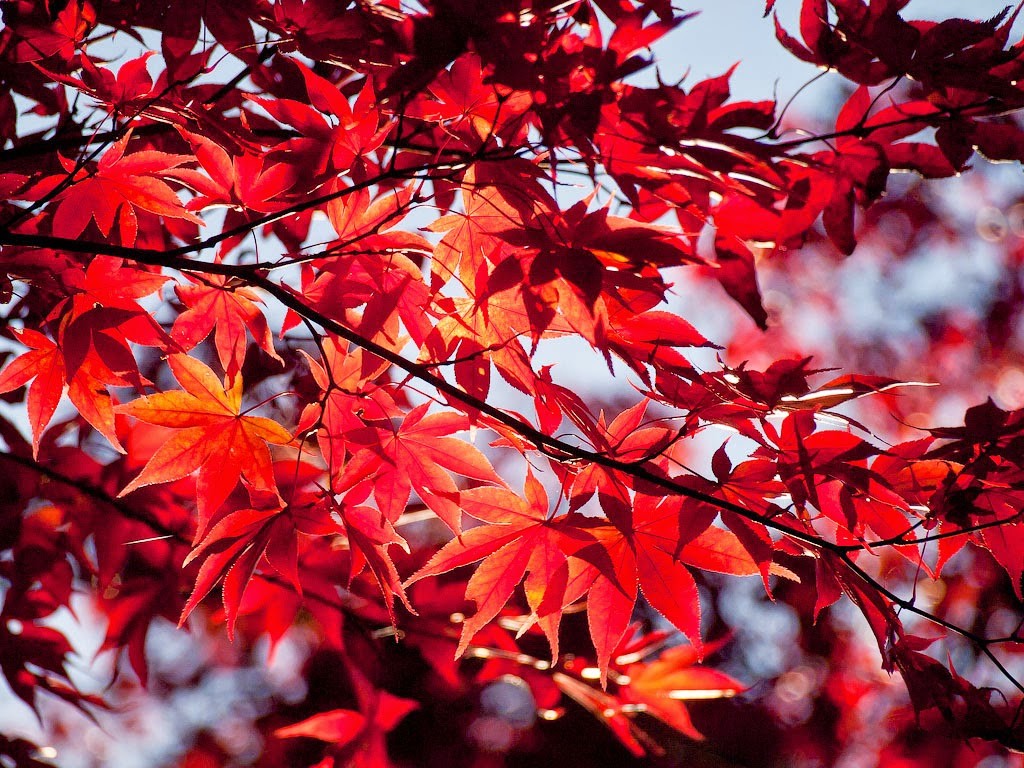 Nikko, Japan