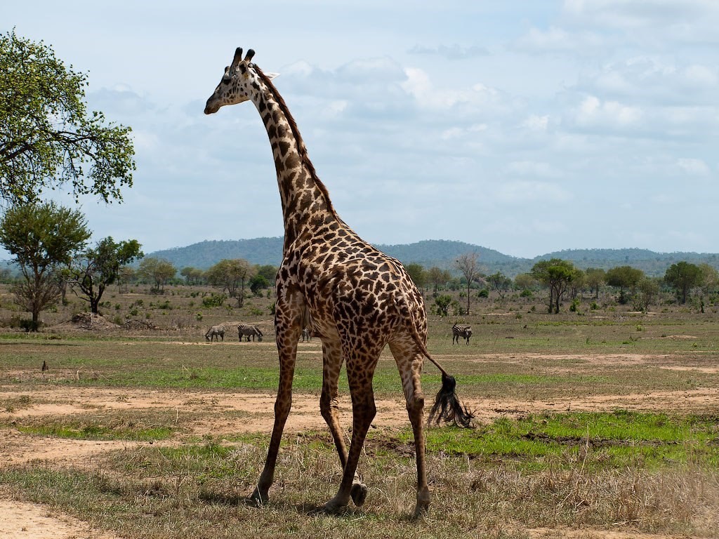 Tanzania