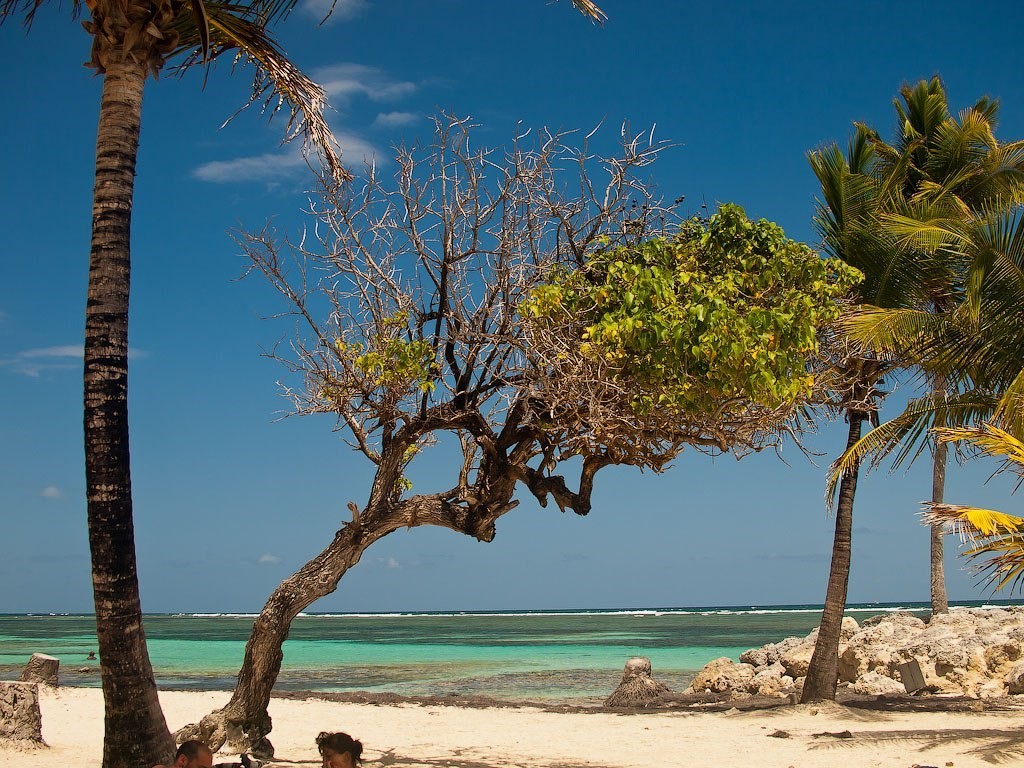 Guadeloupe