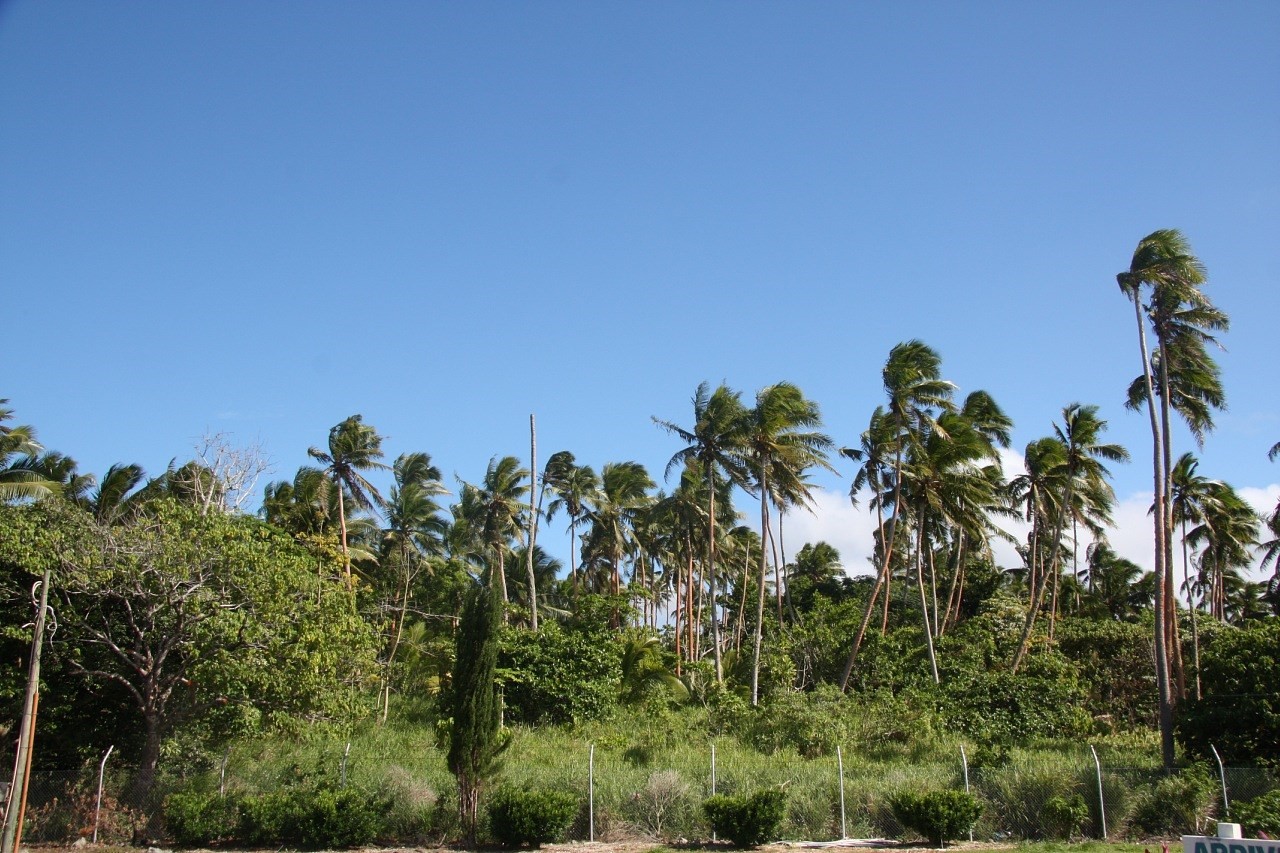 Tonga