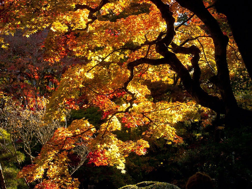 Nikko, Japan