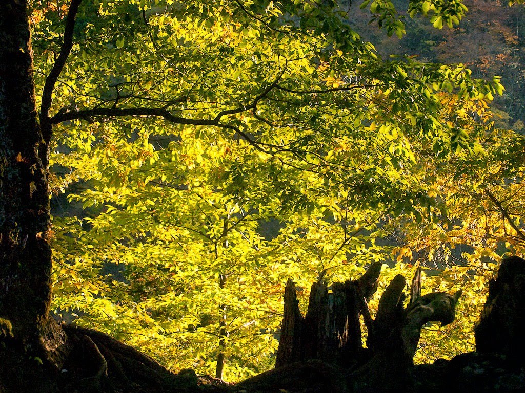 Nikko, Japan