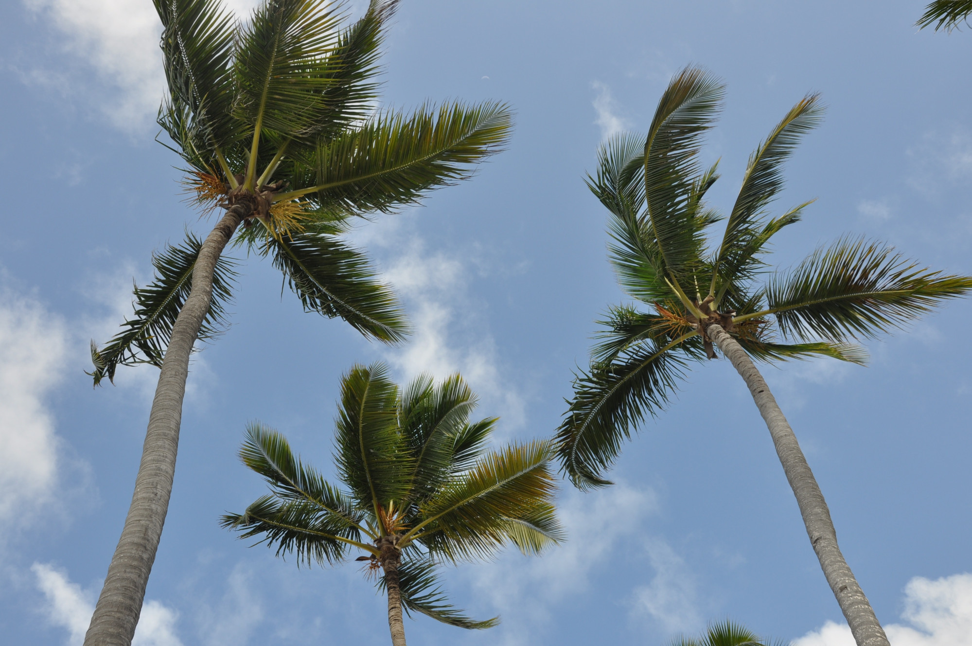 Punta Cana, Dominican Republic