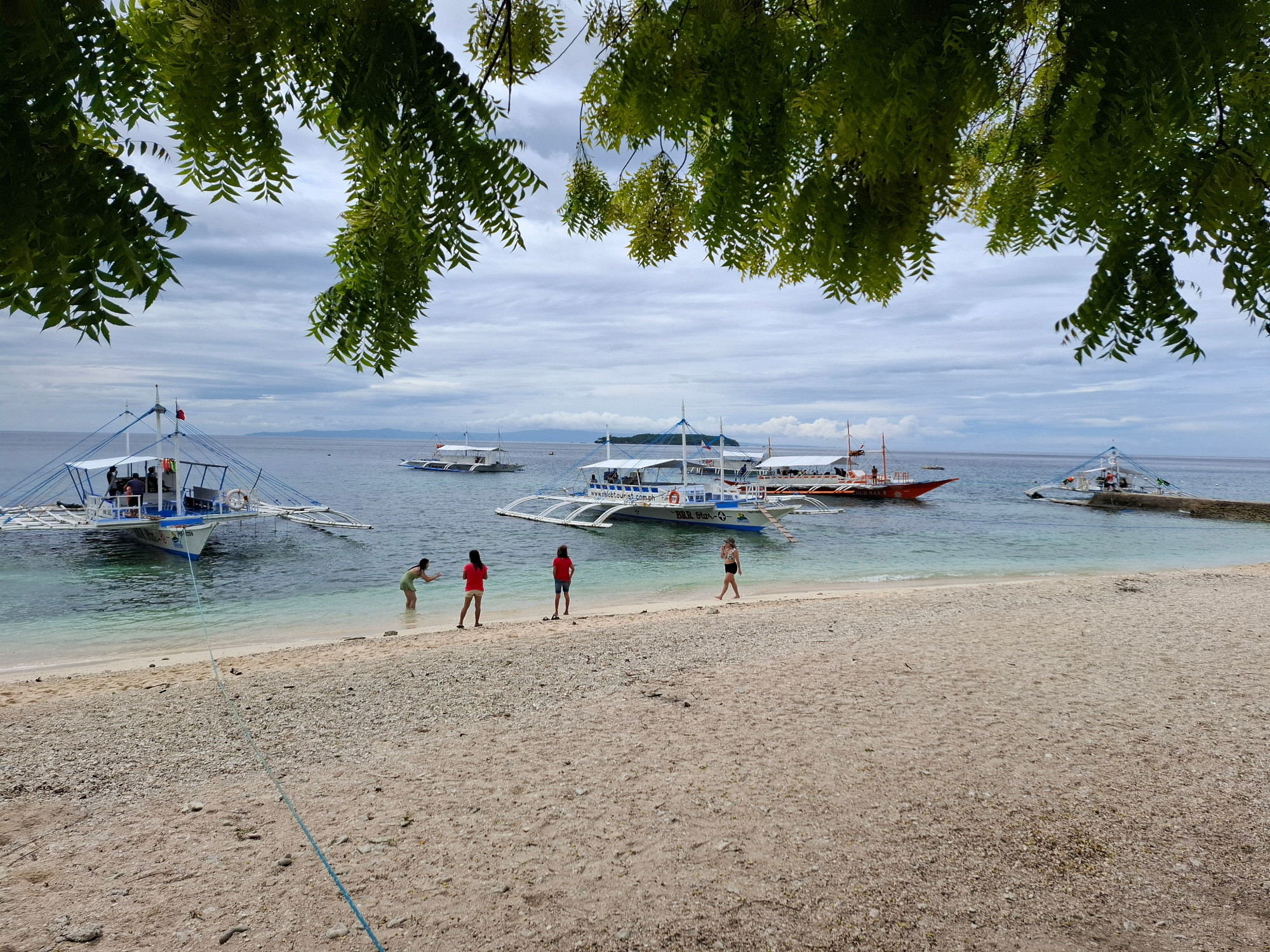 Oslob, Philippines