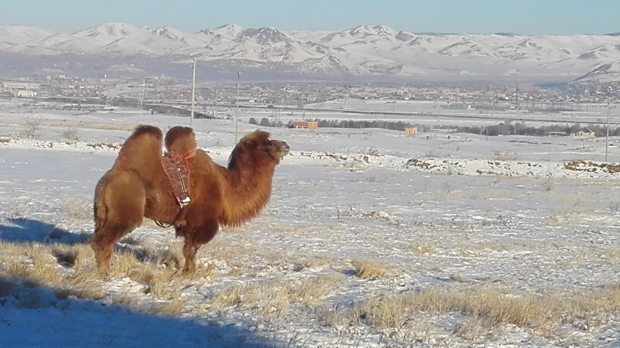 Mongolia