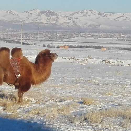 Mongolia