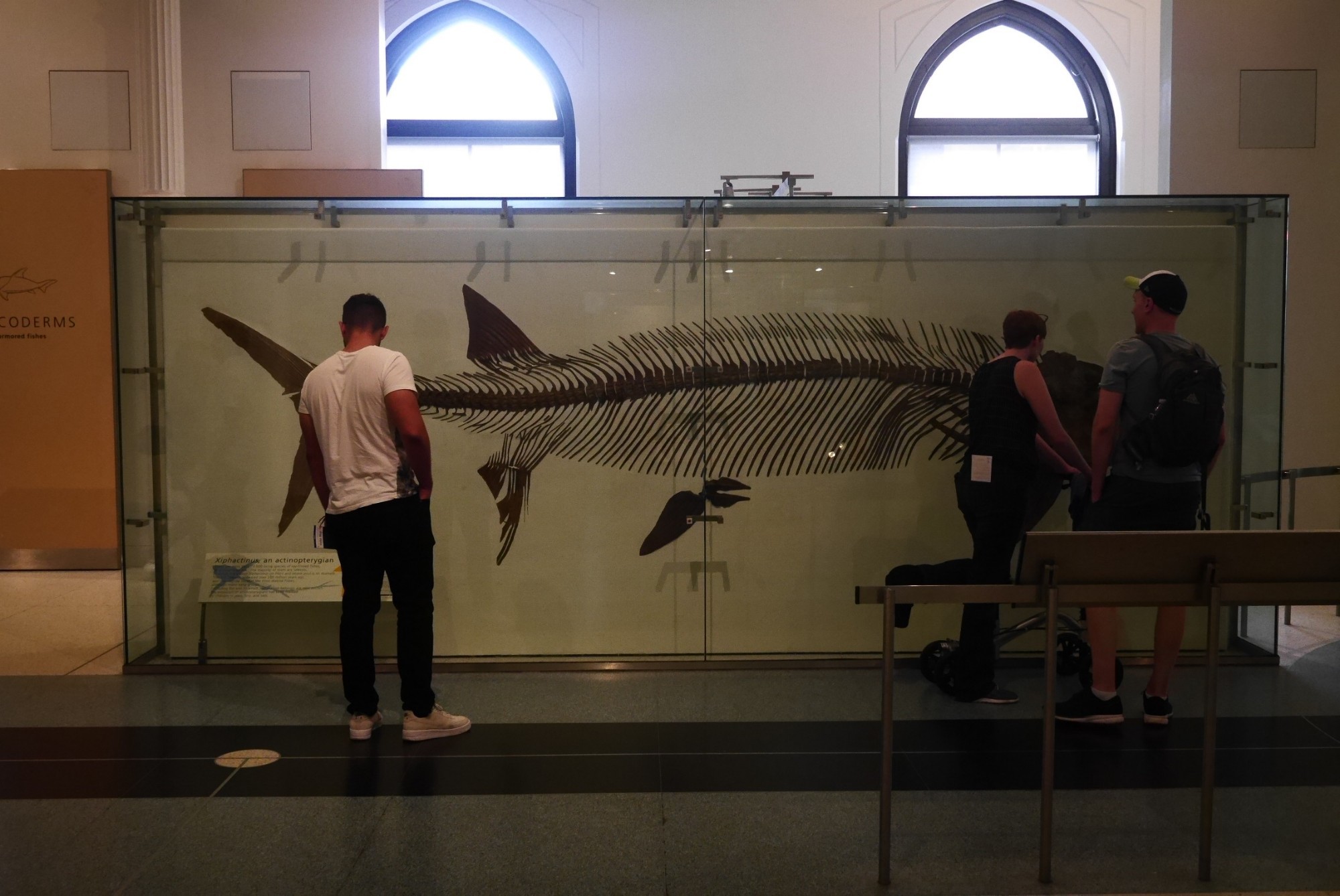 American Museum Of Natural History<br/>
New York,NY