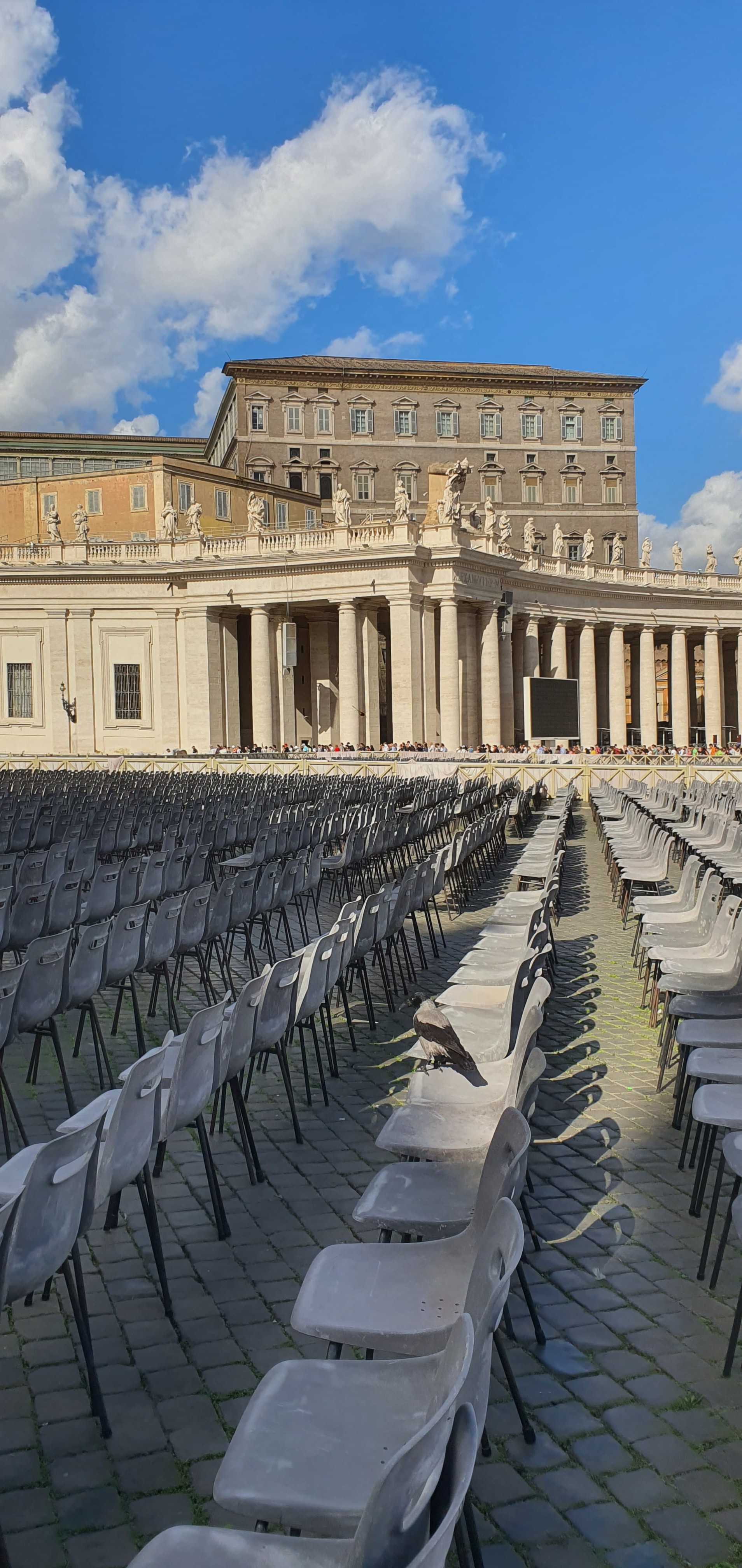 Vatican