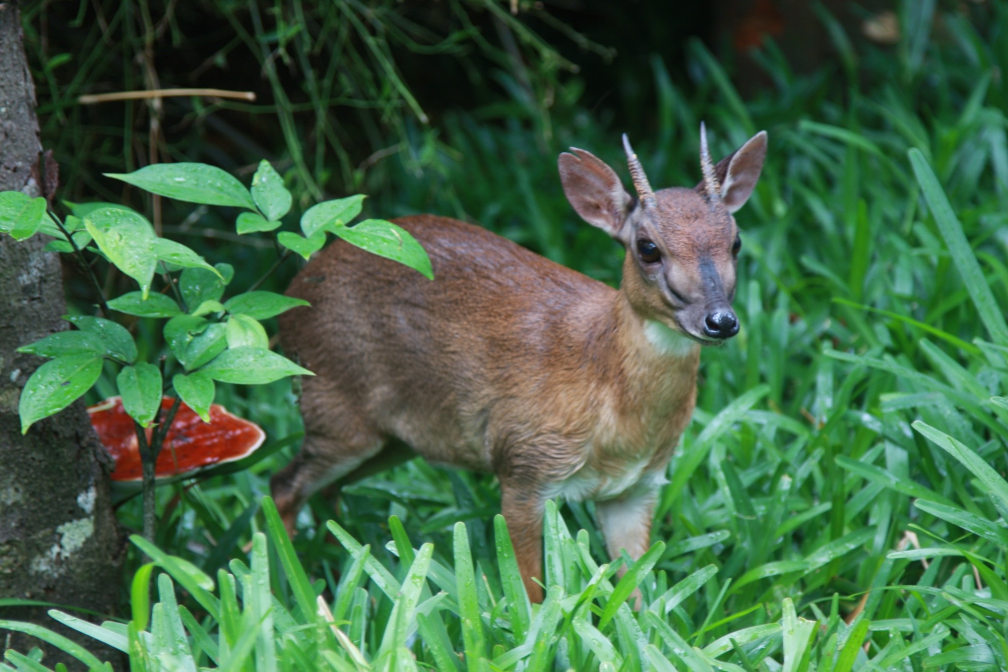 Tanzania