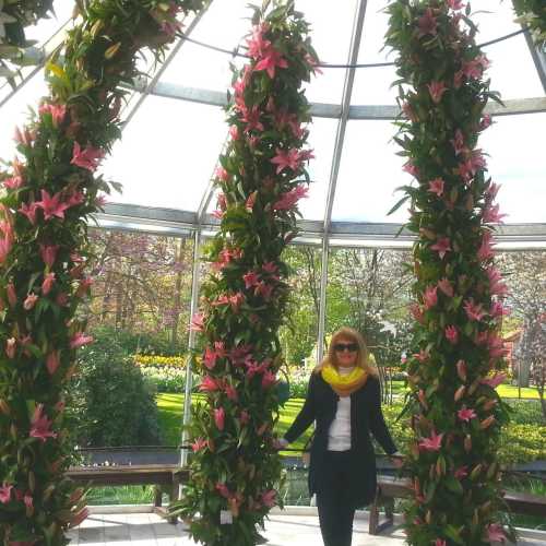 Нидерланды