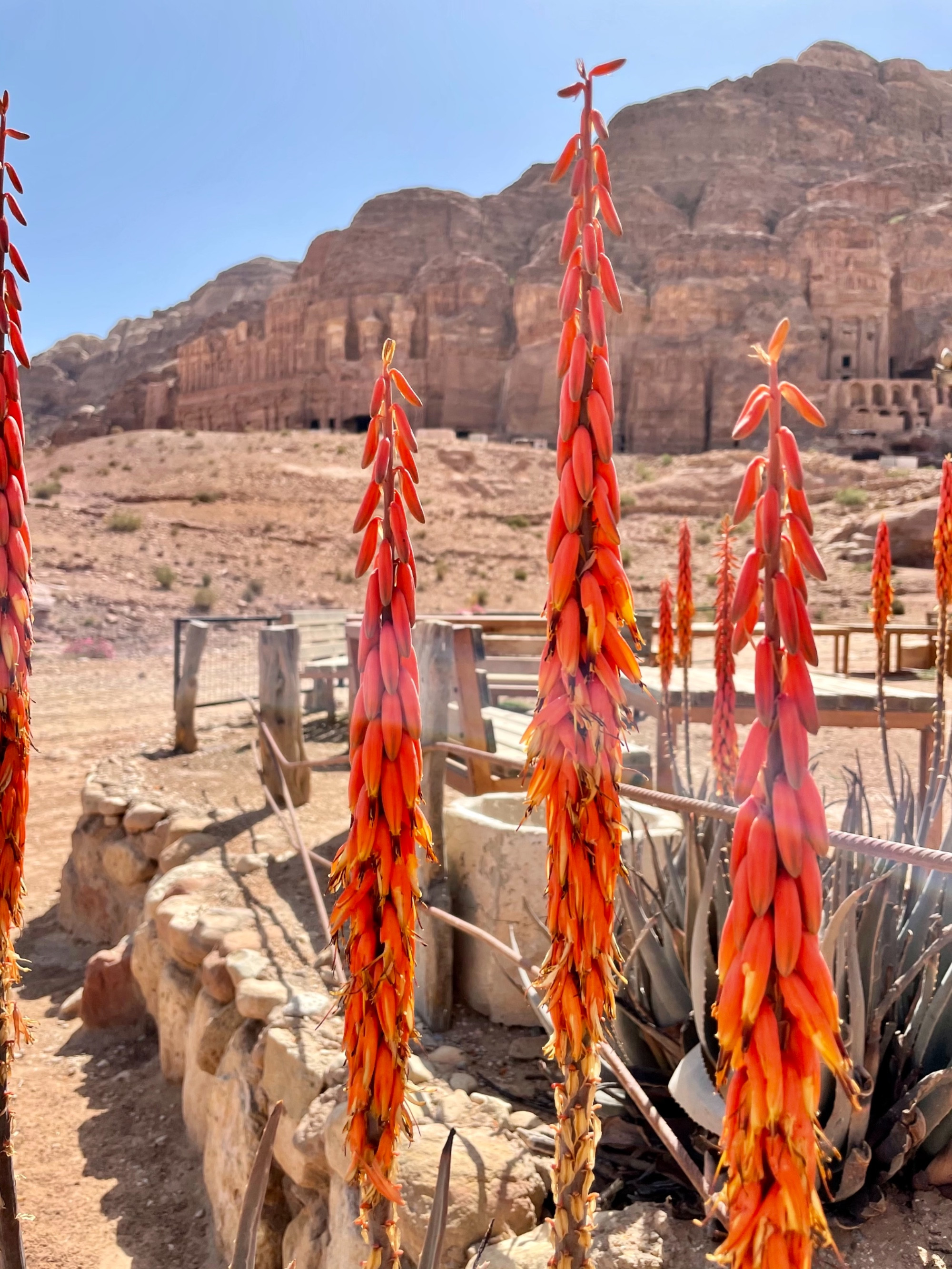 Petra, Jordan