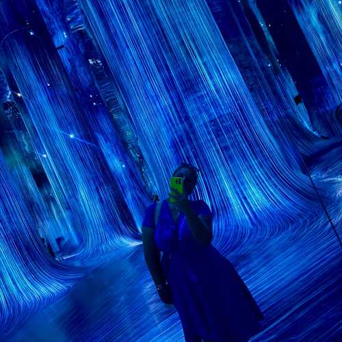 Abu Dhabi, United Arab Emirates