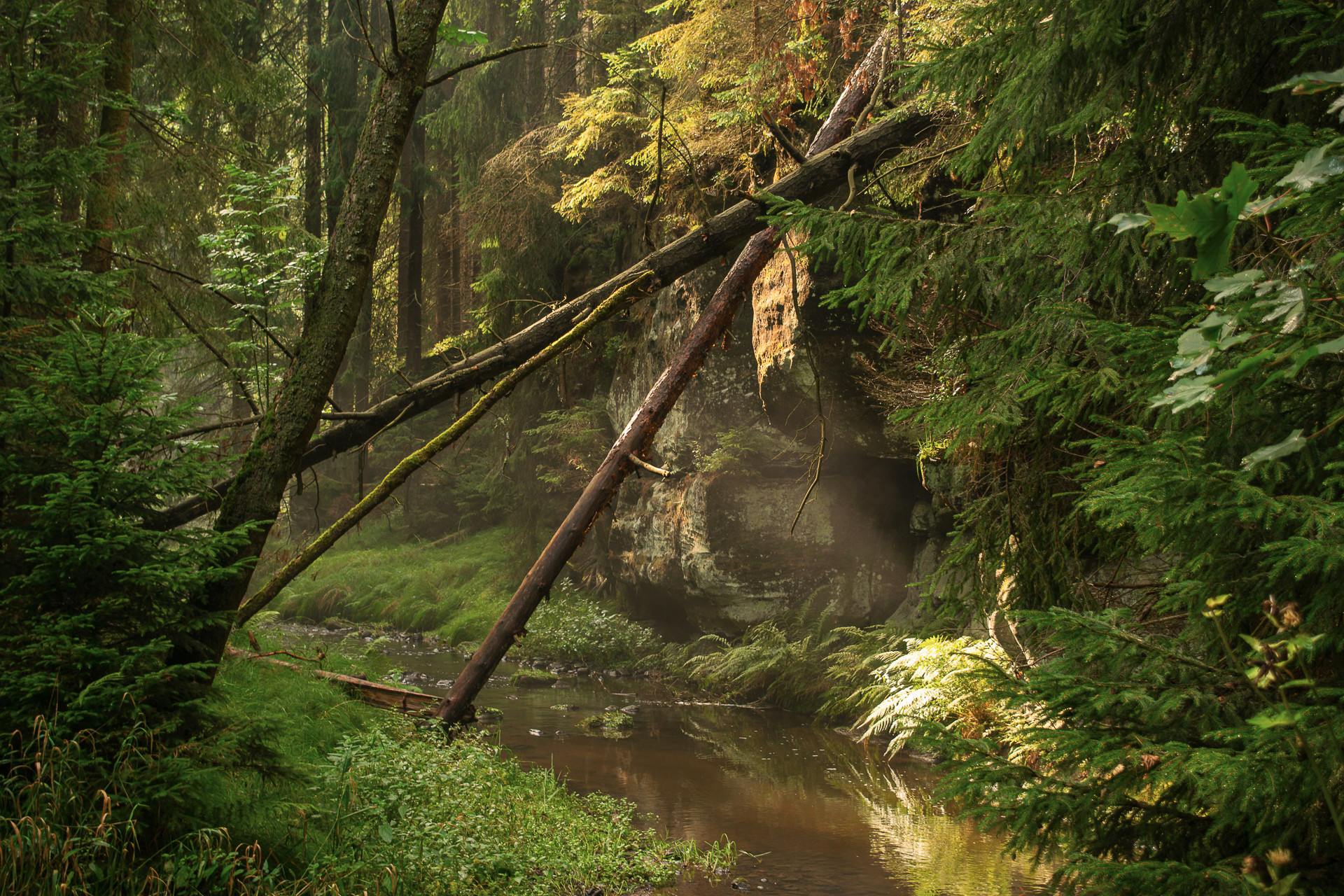 Czech Republic