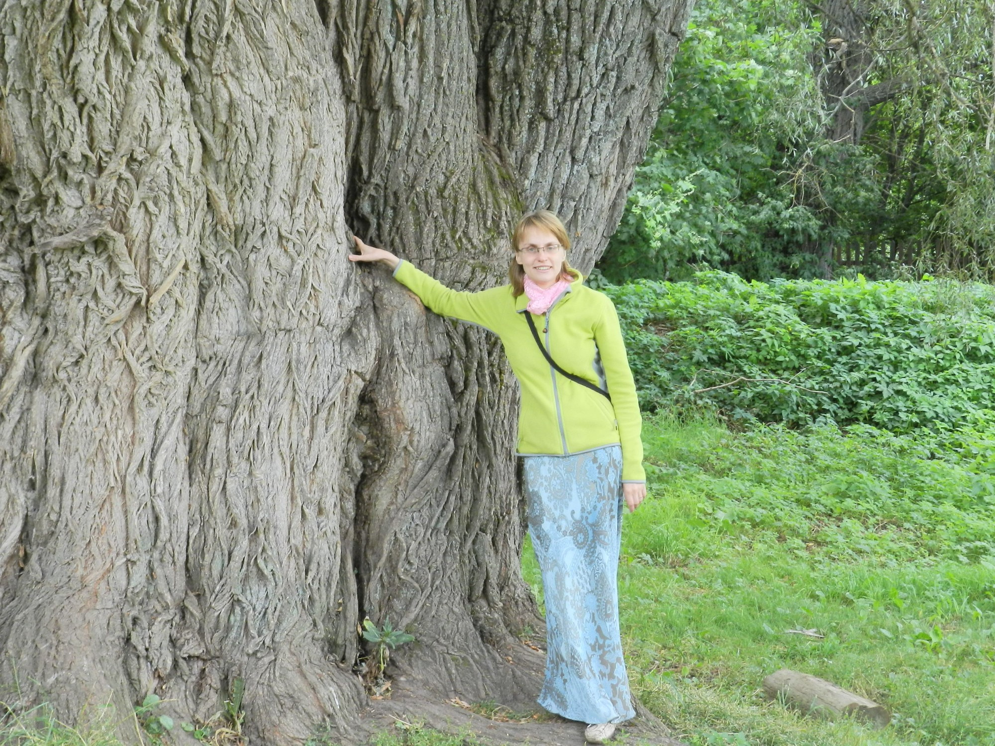 Моя жена возле очень старой ивы в парке (Болдино). Говорят, иве больше 100 лет
