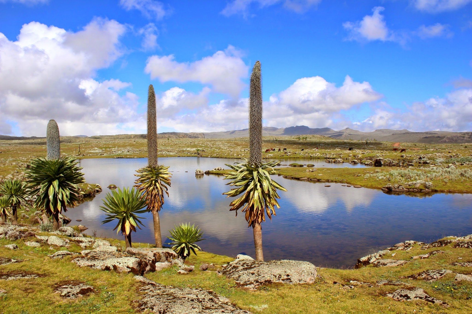 Ethiopia