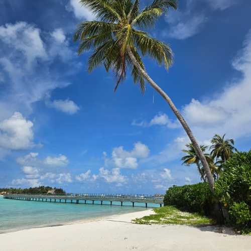 Мальдивские о-ва