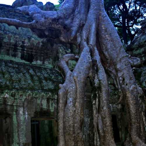 Cambodia