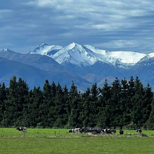 New Zealand