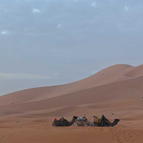 Merzouga, Morocco