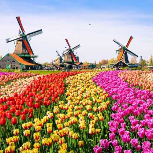 Netherlands