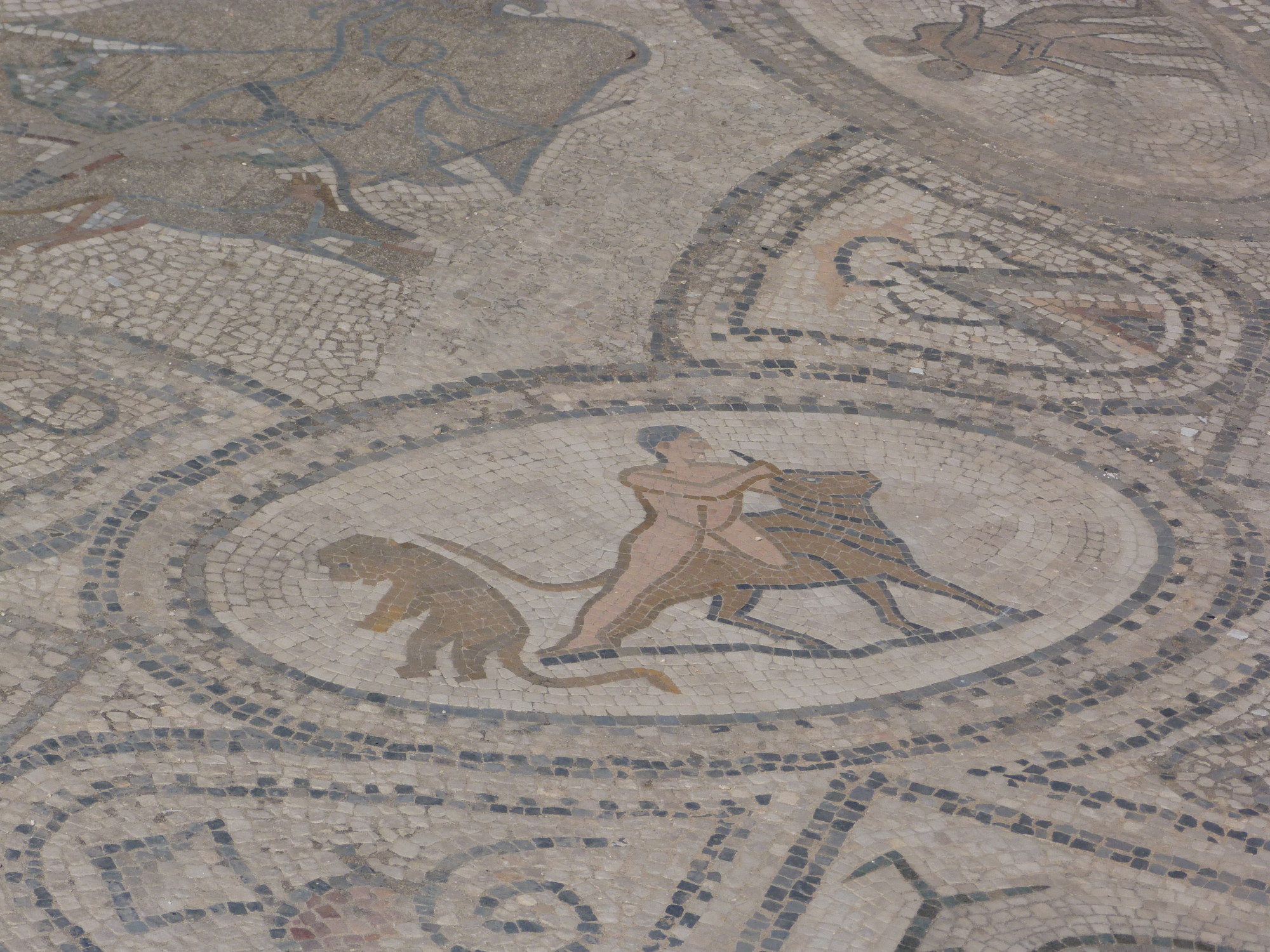 Roman Mosaic (Trials of Hercules ?)