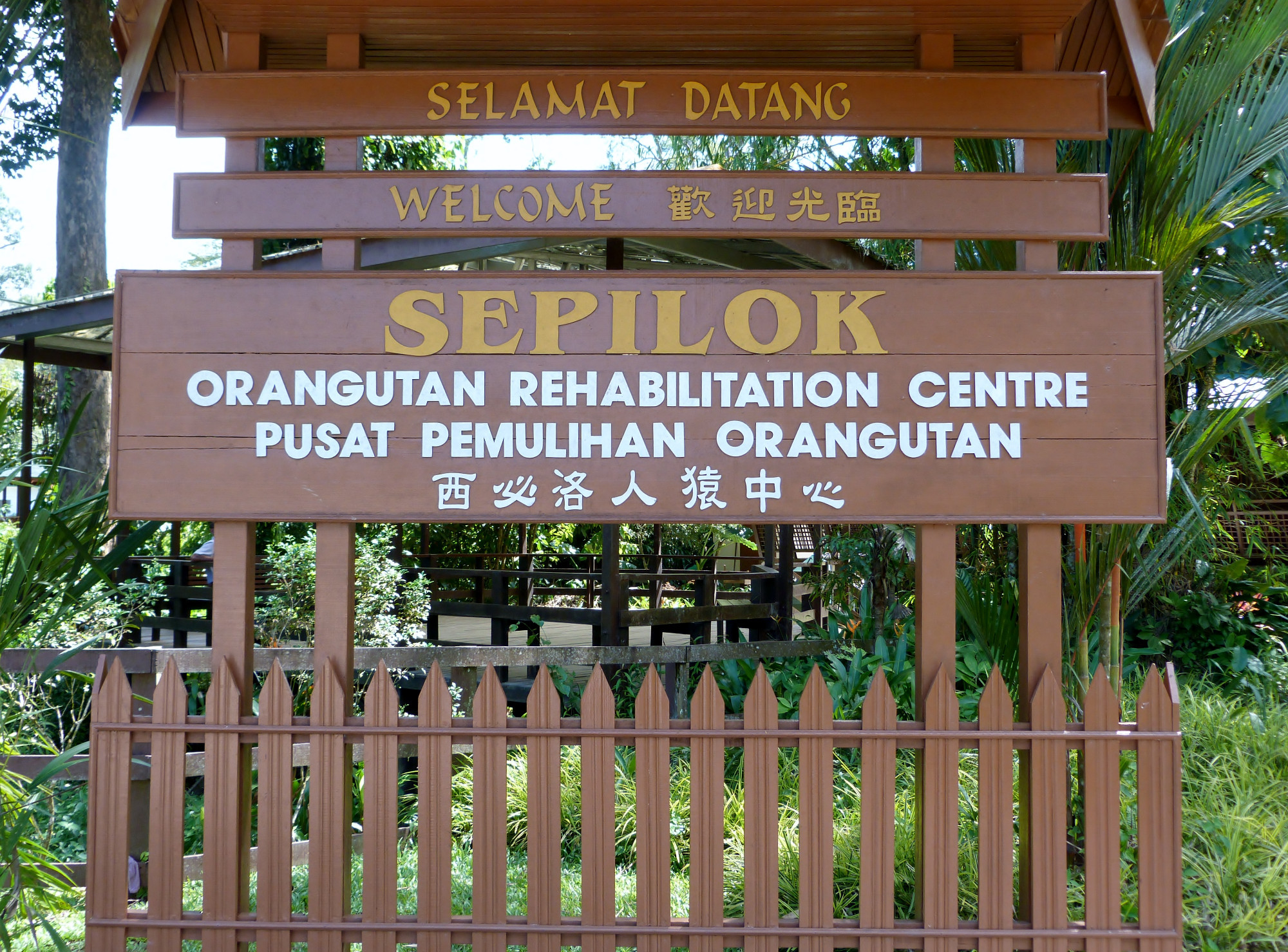 Sepilok Orang Utan Sanctuary, Малайзия