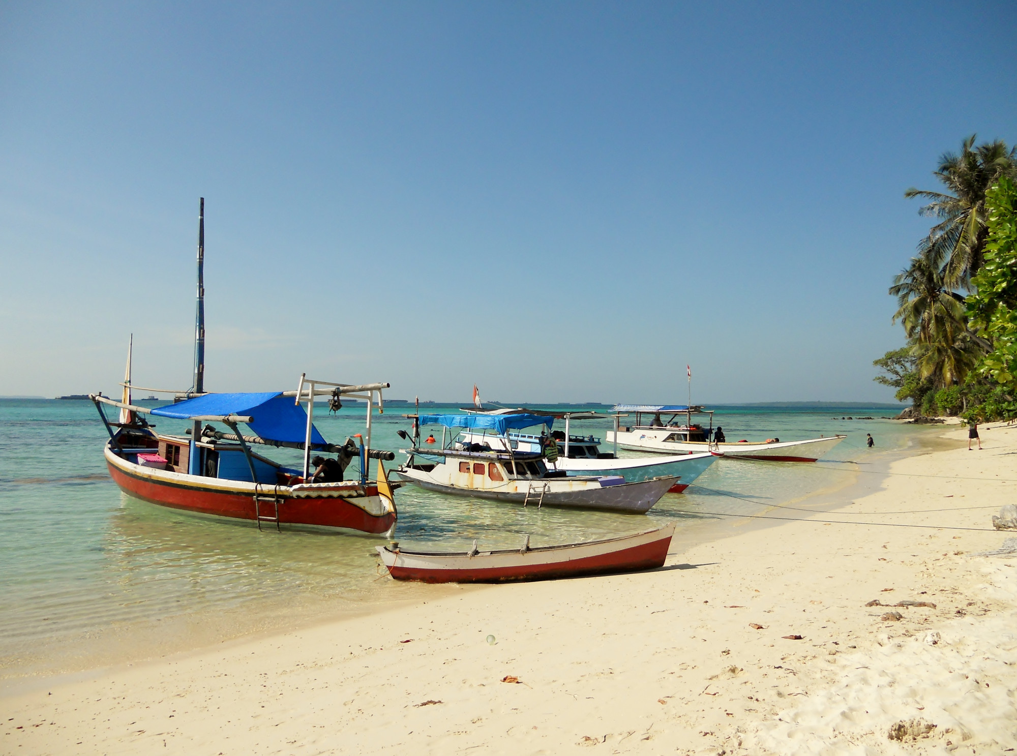 KARIMUNJAWA Island Hopping