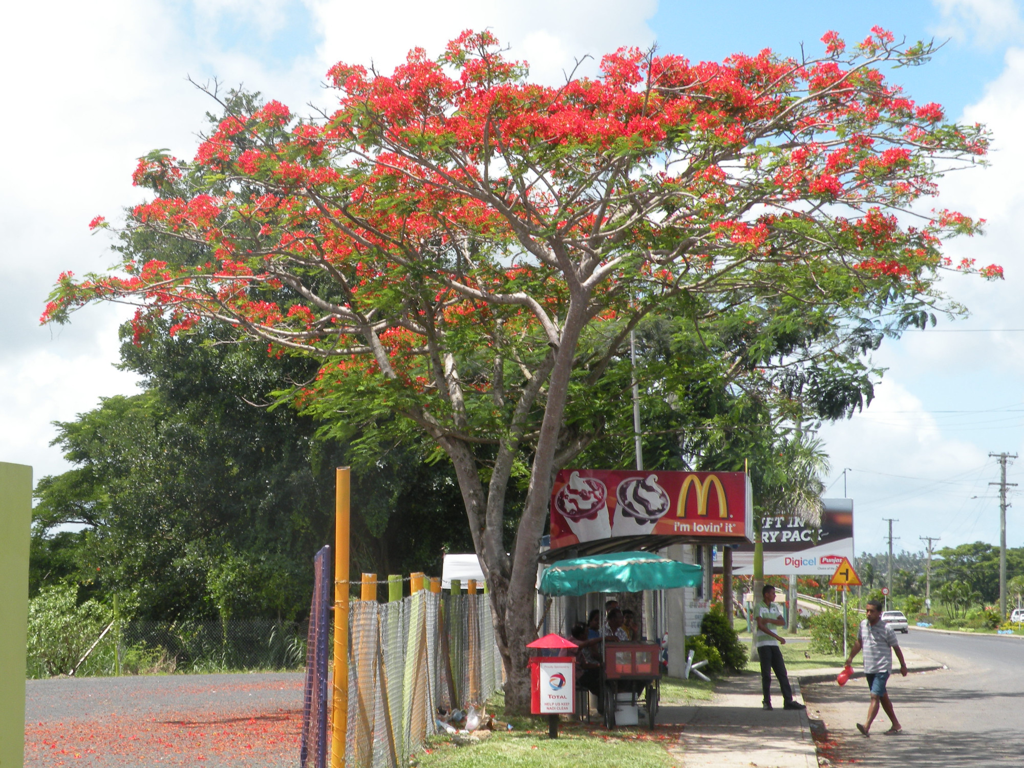 Bus Stop