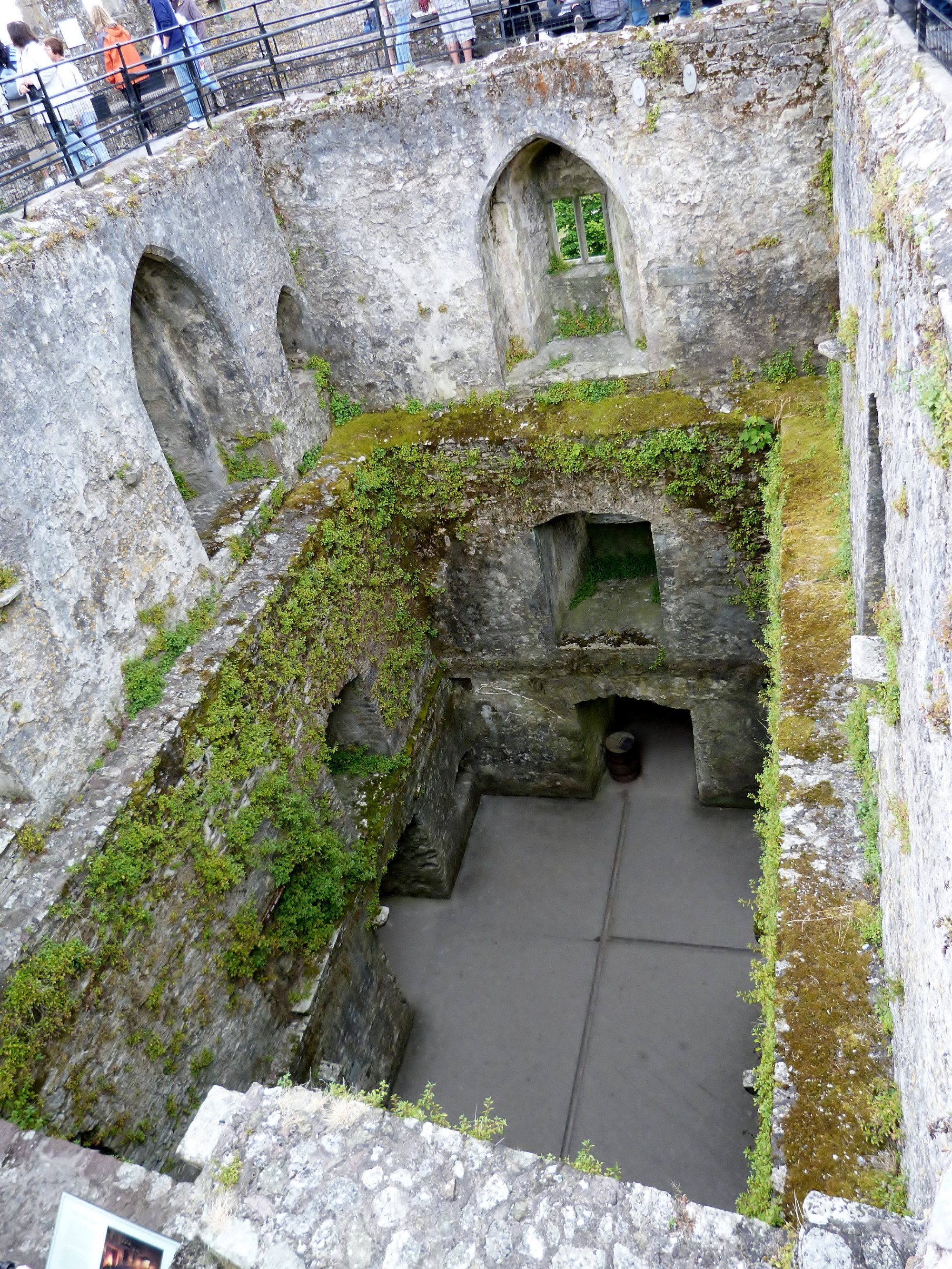 Blarney Castle, Ireland