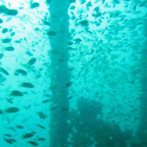 King Cruiser Wreck Dive Site, Thailand