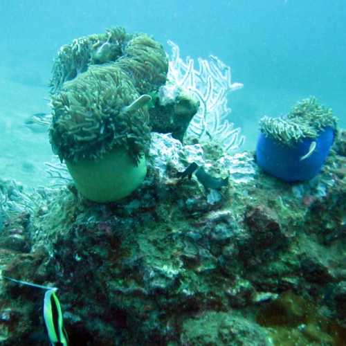 King Cruiser Wreck Dive Site, Thailand