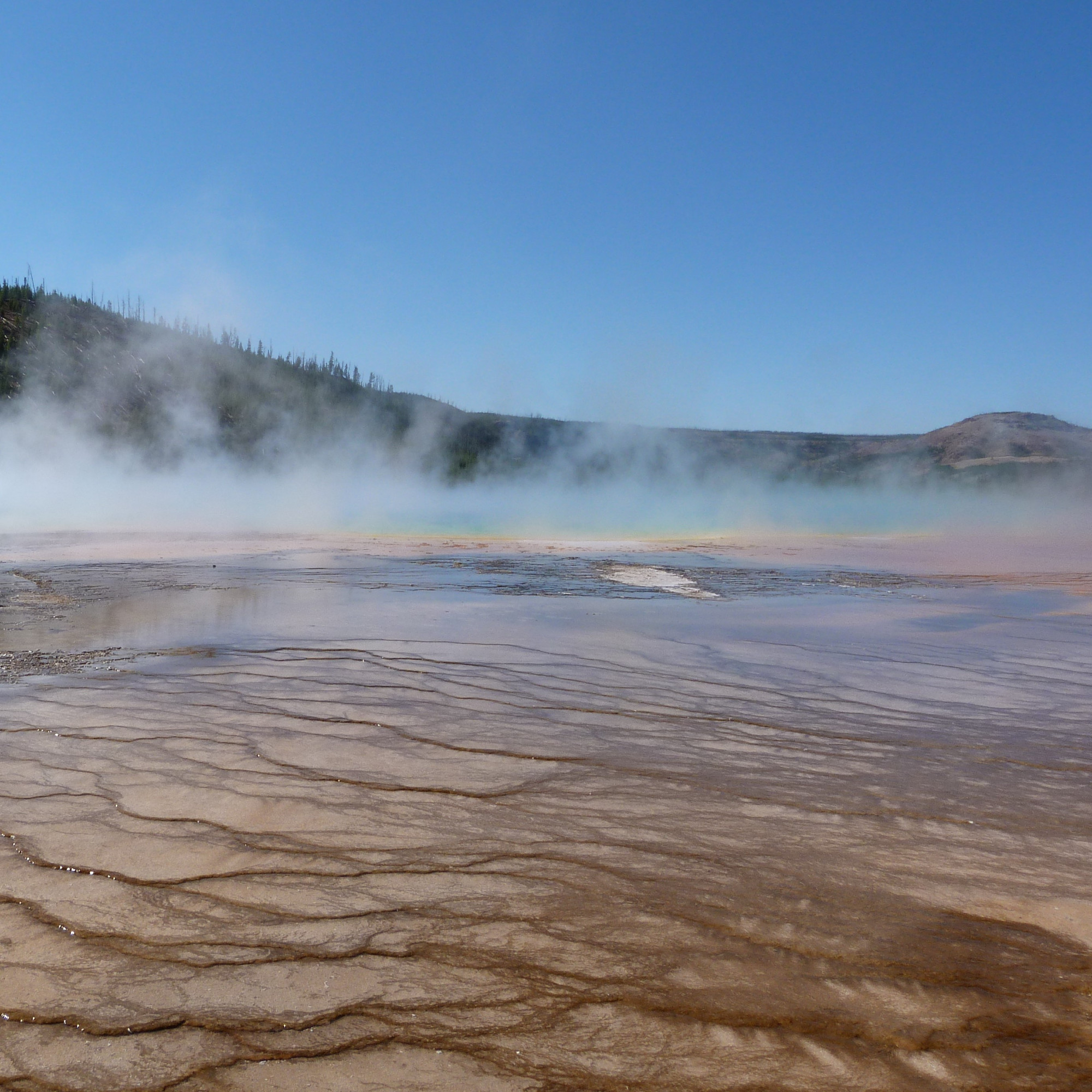 Yellowstone National park, United States