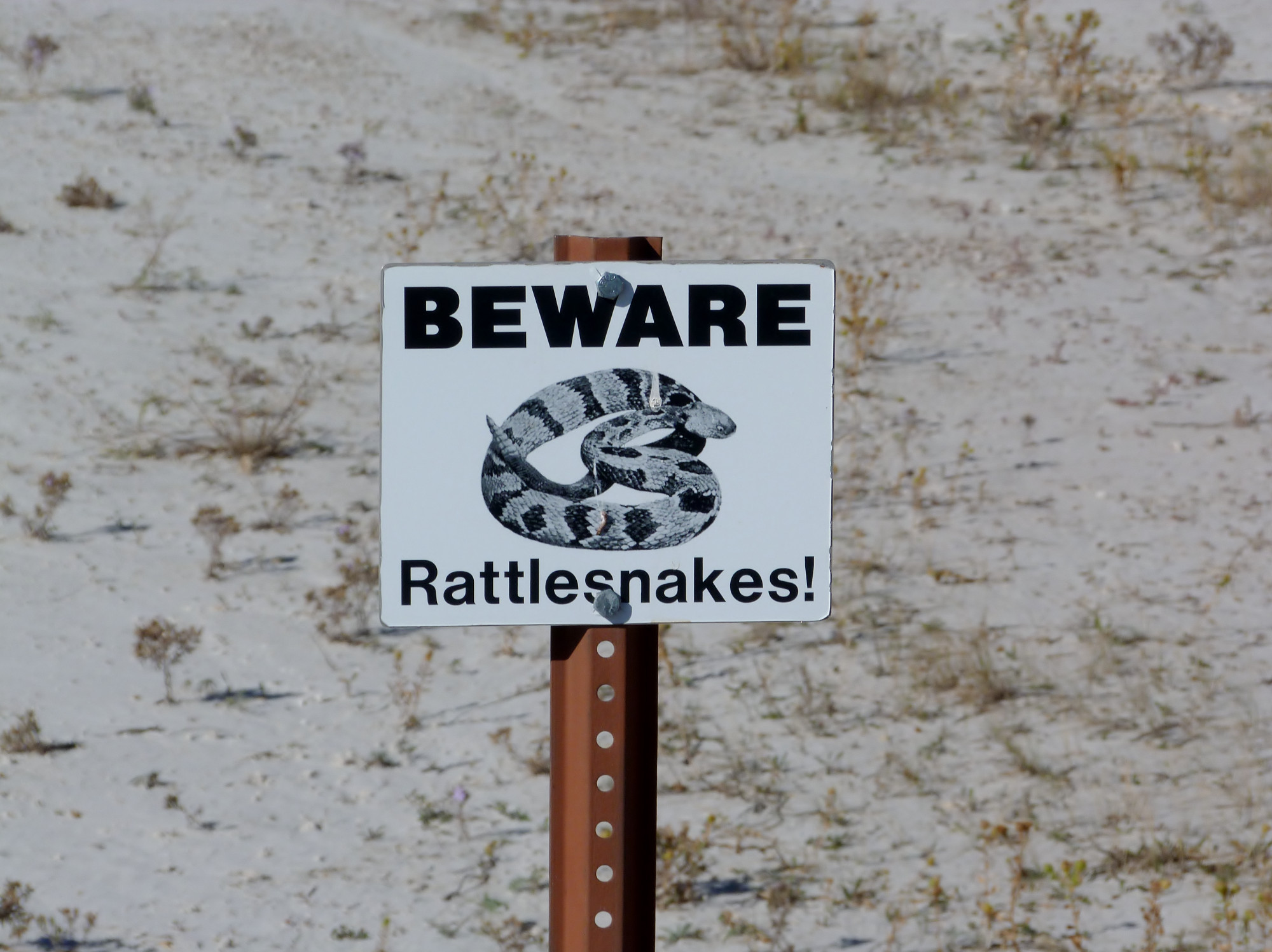 Badlands Scenic Area, США