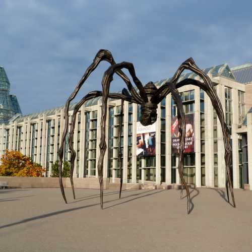 Marman Spider Sculpture