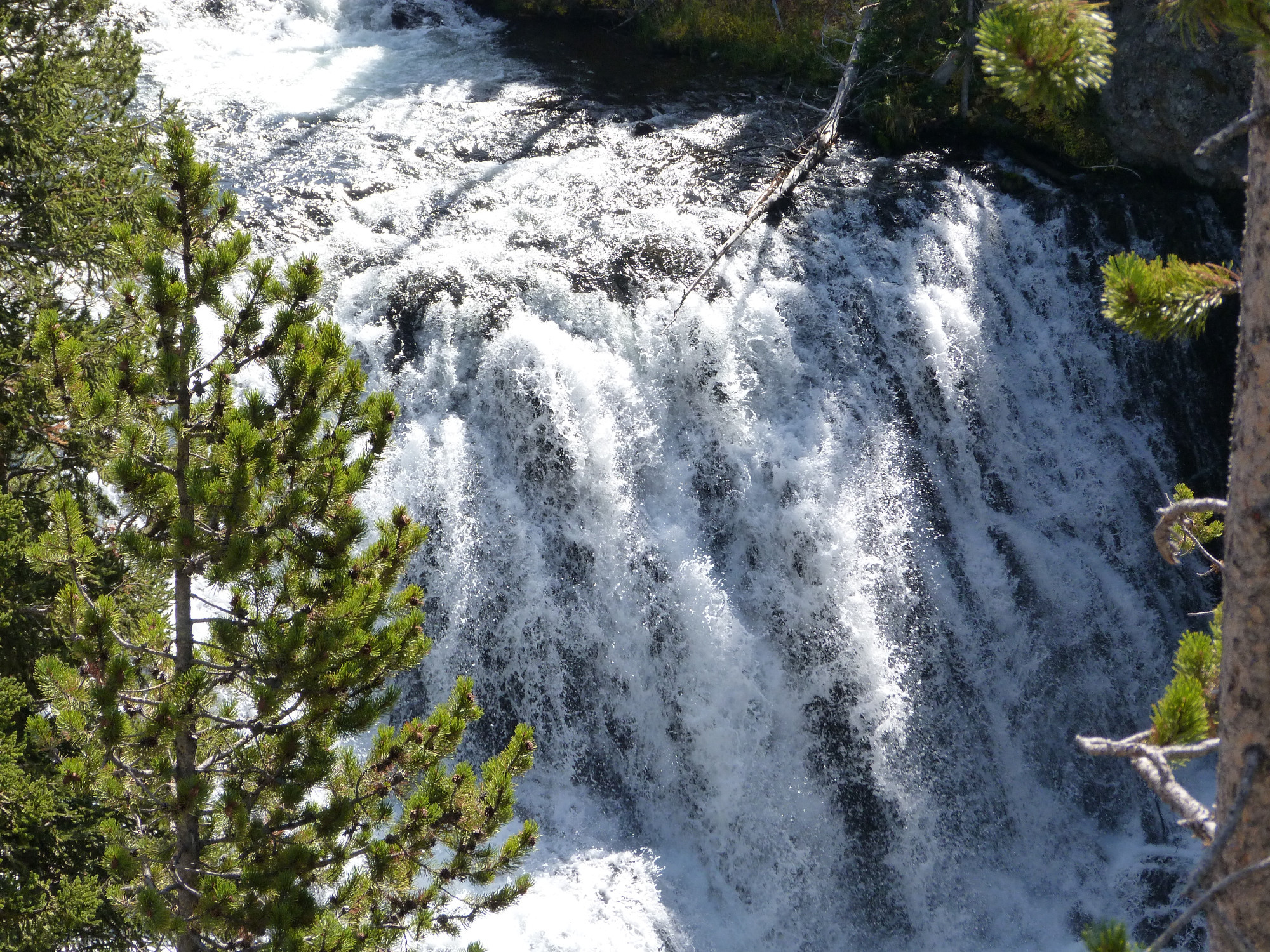 Yellowstone National park, United States