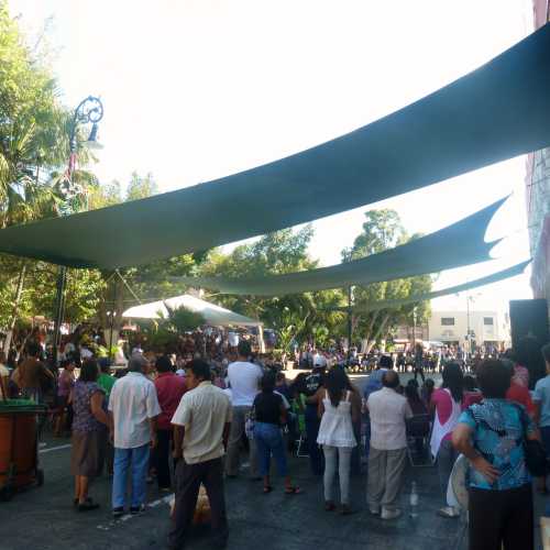 Festival Central Square