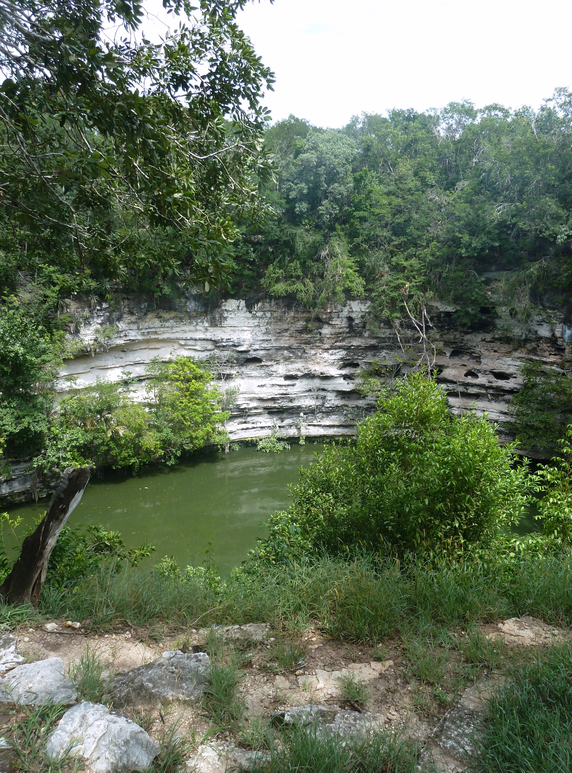 Sacred Cenote