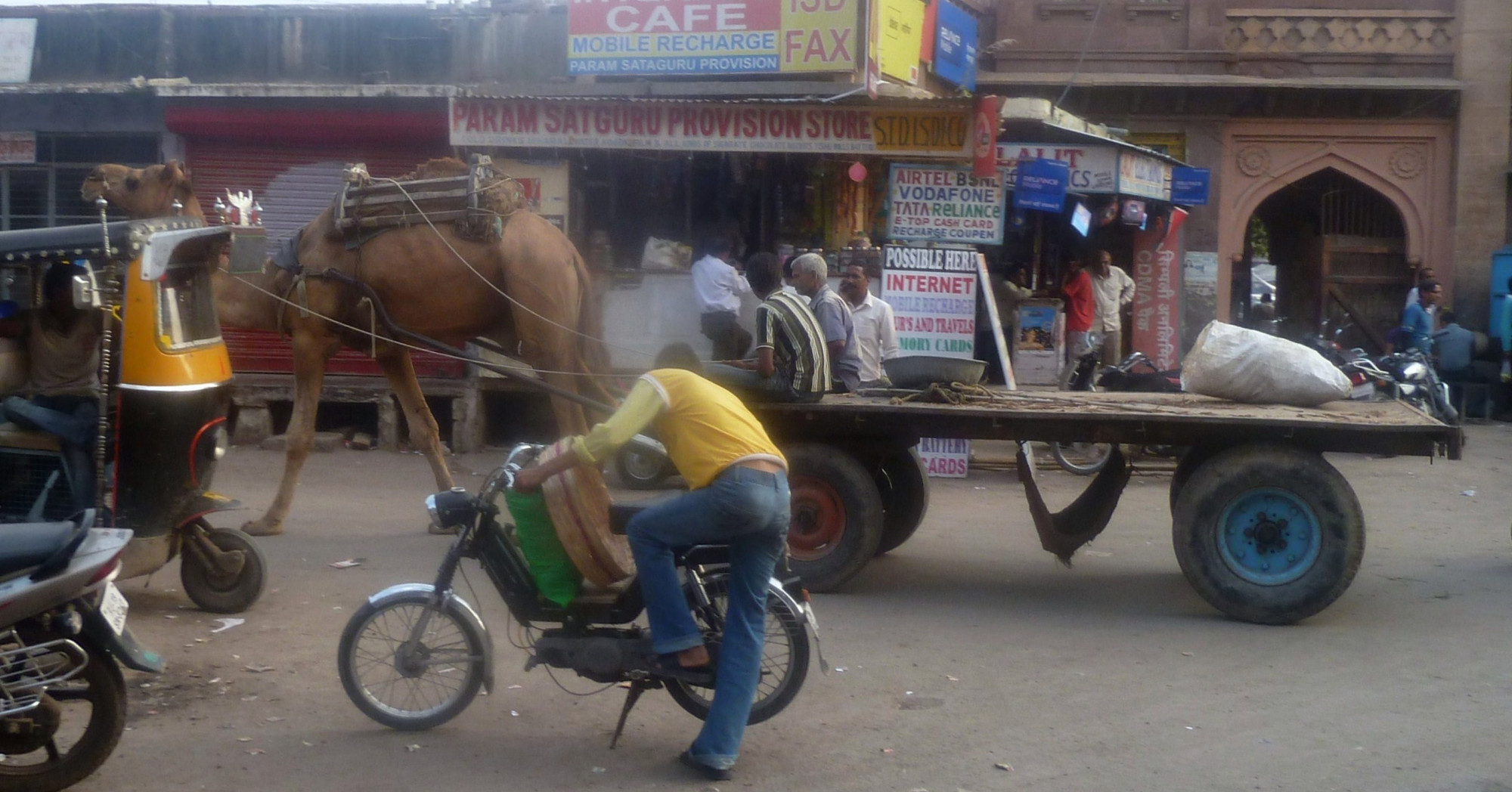 Random Camel pulling cart
