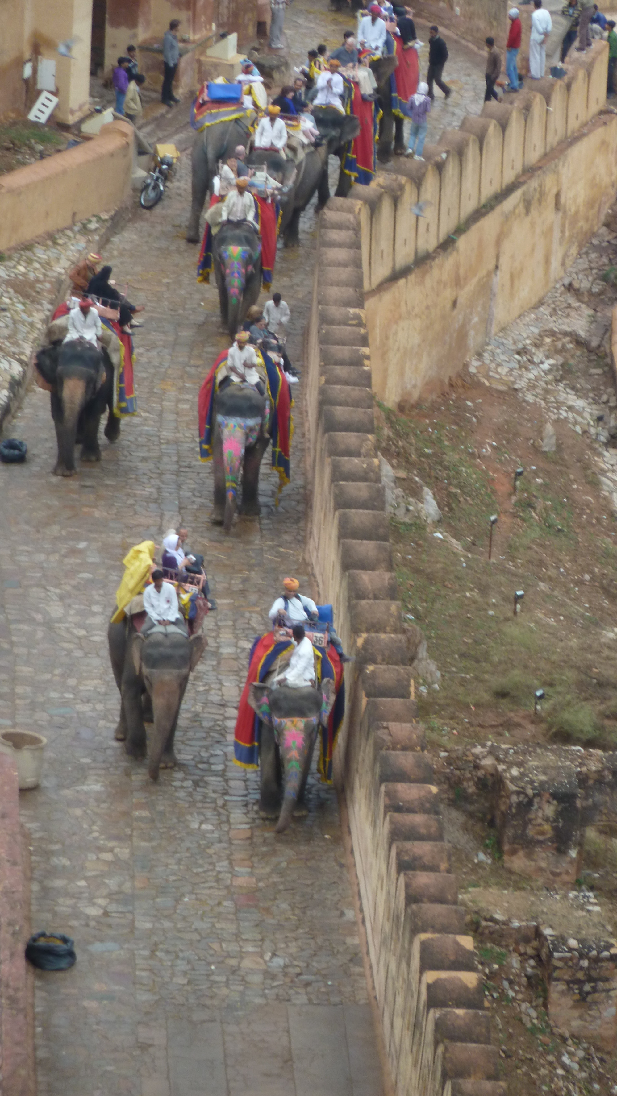 Elephant Taxis approaching fort