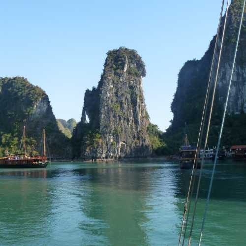 Бухта Халонг, Вьетнам