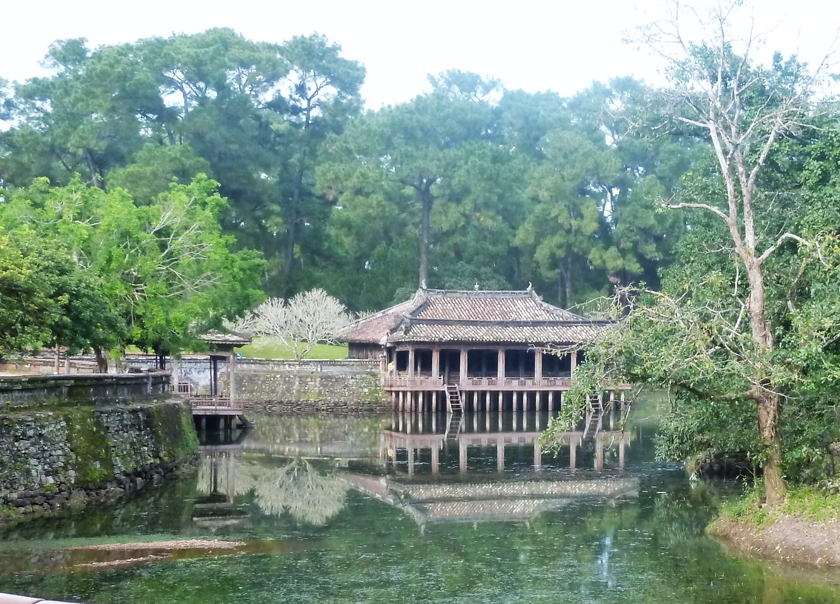 Pavillon and lotus pond