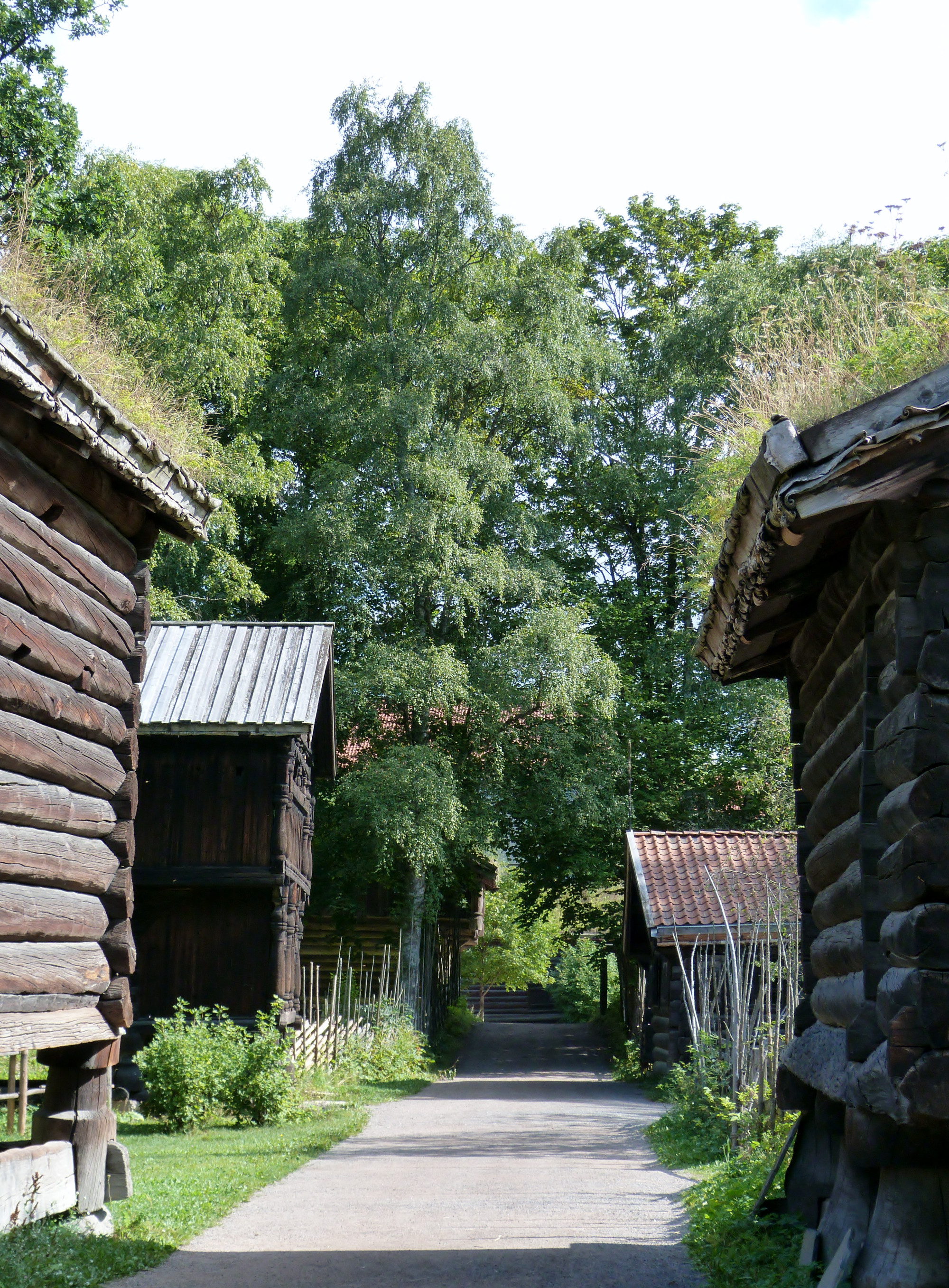 The Tenant Farm from Trøndelag