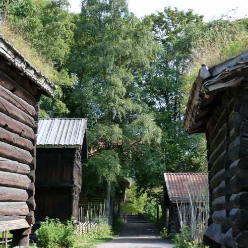 The Tenant Farm from Trøndelag
