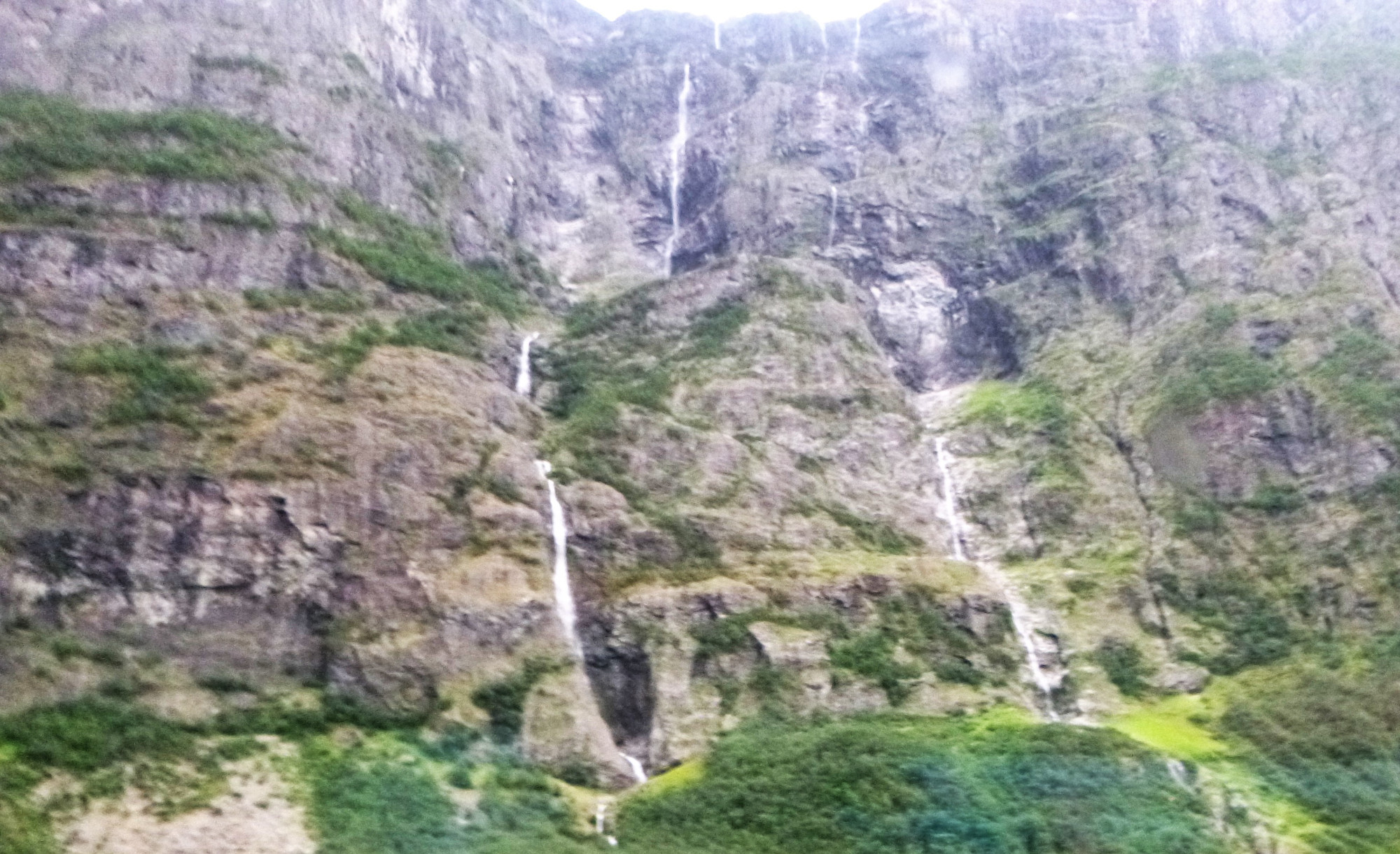 Fjord alls
