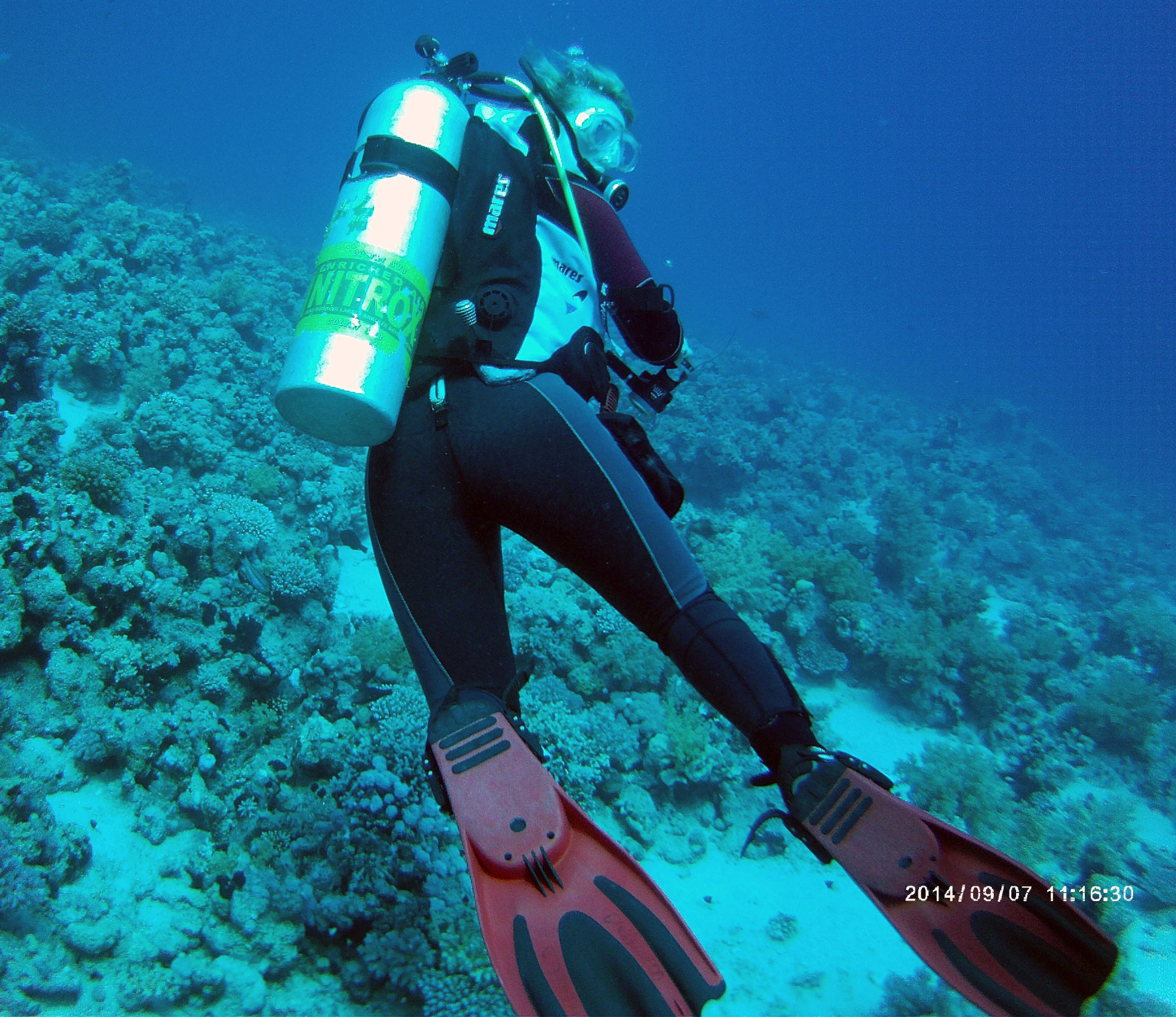 Yolanda Reef, Egypt