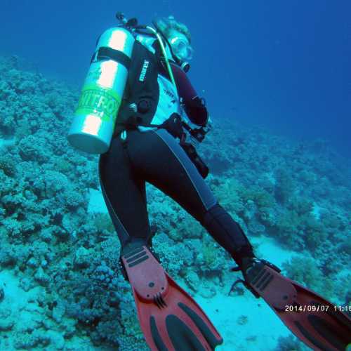 Yolanda Reef, Egypt