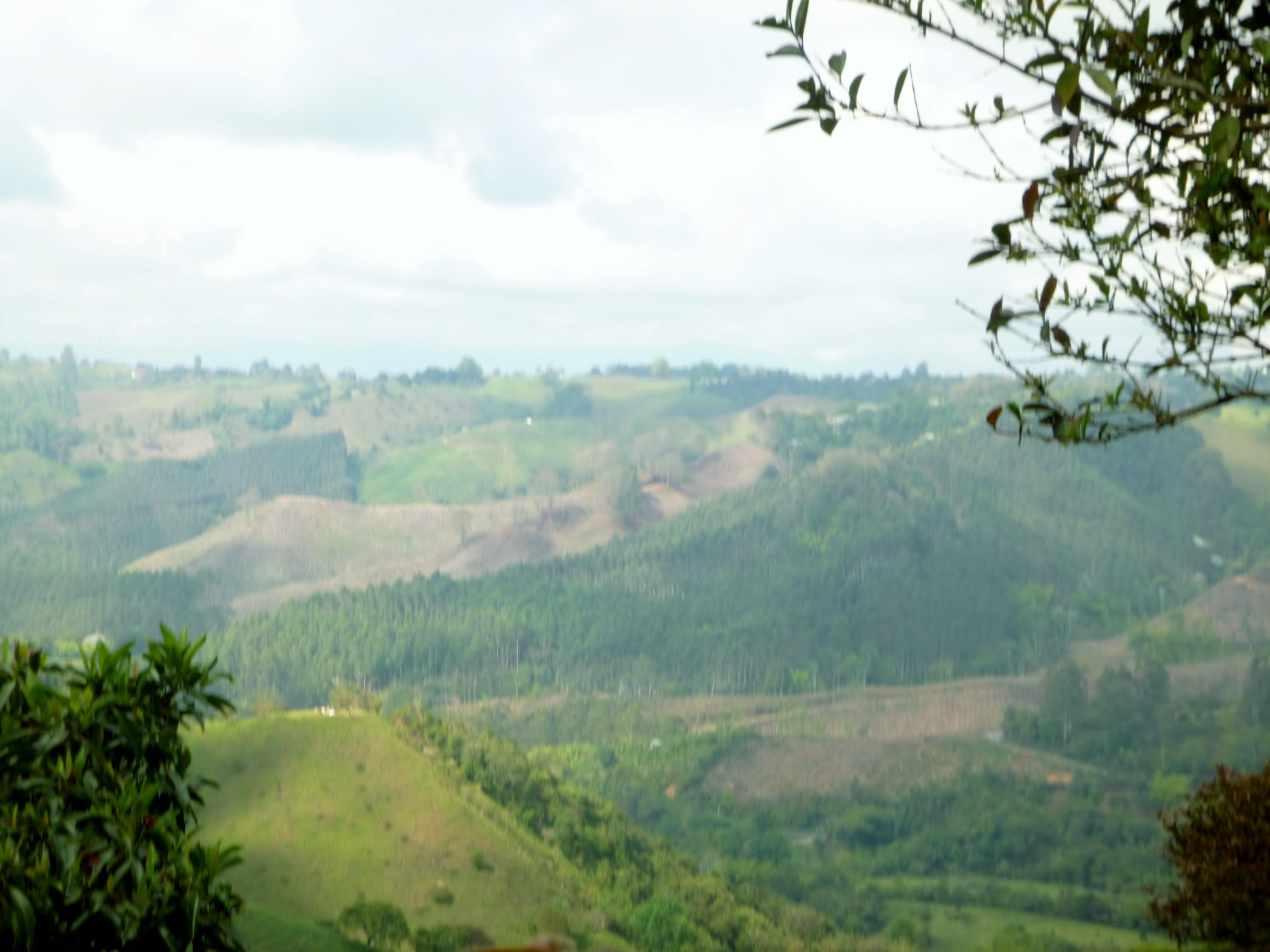 Salento, Colombia