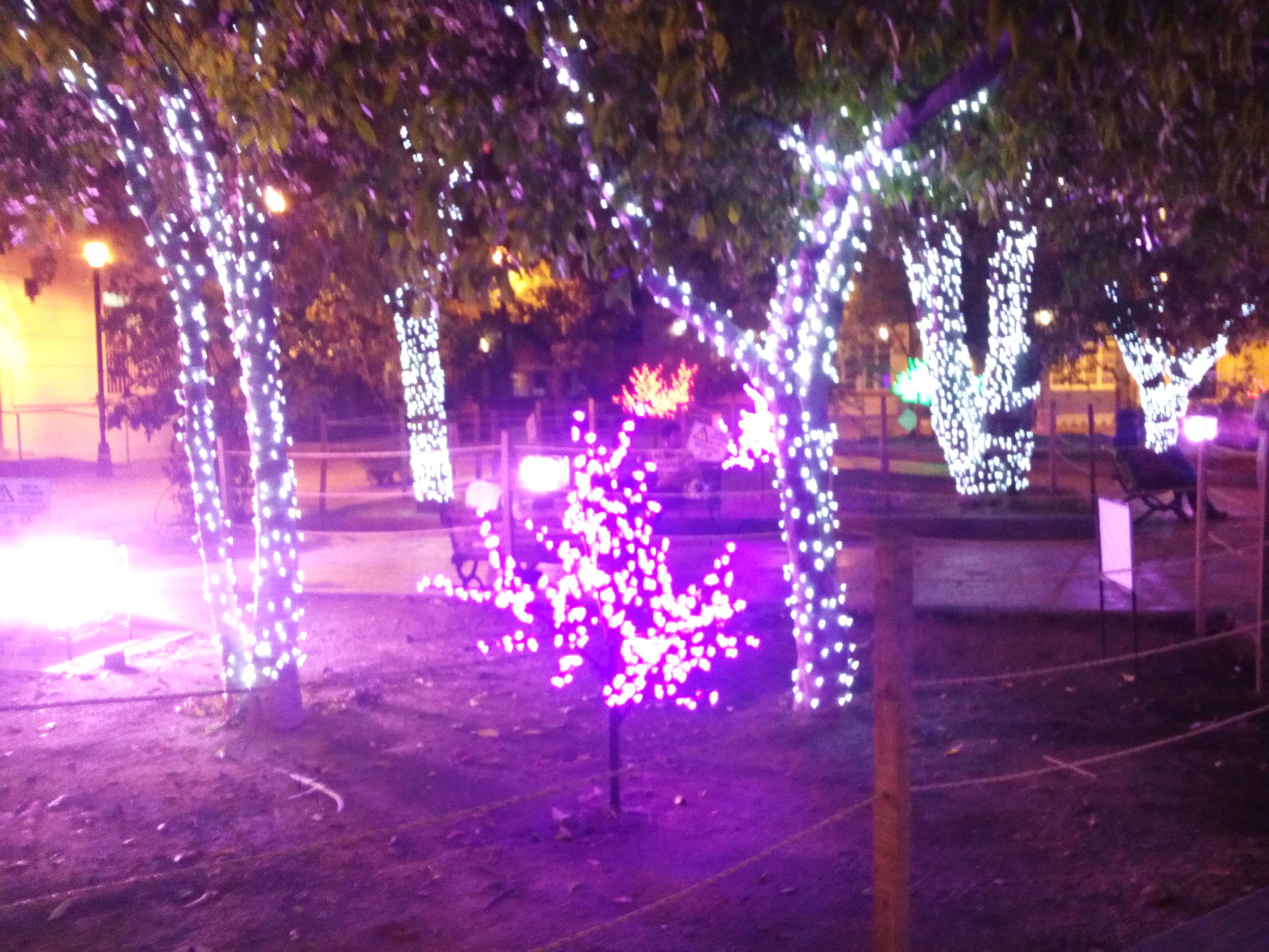 Xmas Lights in Parque de los Novios