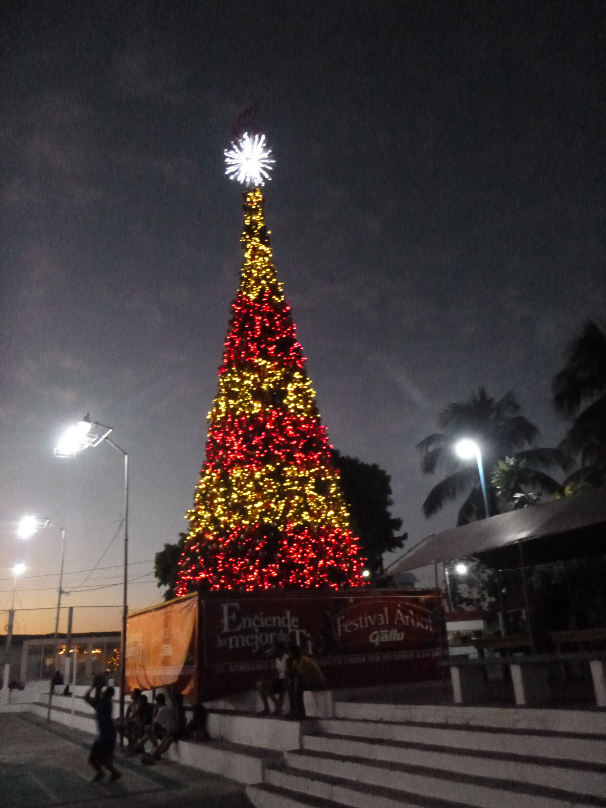 Xmas Time in Flores
